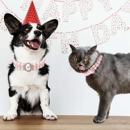 Miniatura 4 de Collares de perlas grandes para perros pequeños y gatos con decoración de diamantes de imitación de cristal, collar ajustable de piel sintética
