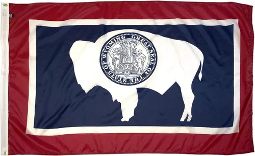 Miniatura 55 de FlagSource Bandera del estado de nailon de Iowa, fabricada en los Estados Unidos, 4 x 6 pies Iowa 4x6