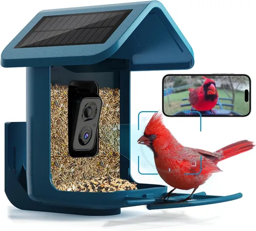 Alimentador para pájaros con cámara con energía solar: Alimentador inteligente para pájaros con cámara de 2K de alimentación en vivo para el patio