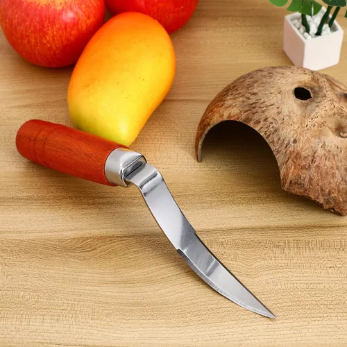 Miniatura 2 de UPKOCH - Removedor de carne de coco con mango de madera, rascador de acero inoxidable para cocina y hogar, 9.1 x 1.2 in, color marrón oscuro