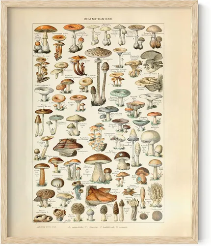 HAUS AND HUES Póster vintage de Adolphe Millot - Decoración de pared Cottagecore, gráfico botánico, impresión de plantas vintage, arte botánico