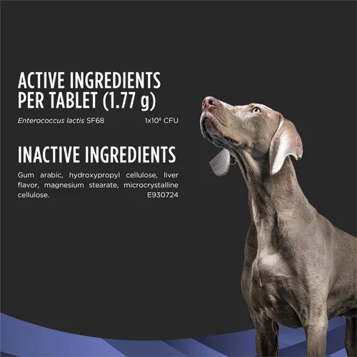 Miniatura 5 de Purina Pro Plan - Suplementos veterinarios Fortiflora Probióticos para perros, tabletas masticables para salud digestiva intestinal y diarrea
