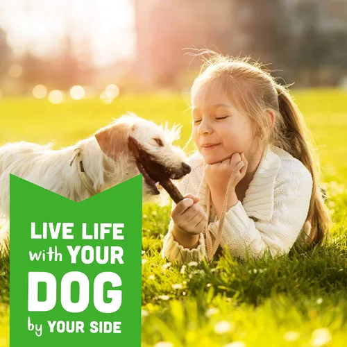Miniatura 8 de Cloud Star Wag More Bark Less Soft Chews - Golosinas para perros sin granos, pollo y batata, bolsa de 5 onzas