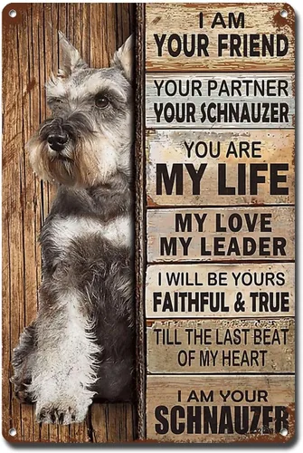 Letrero de Metal Letrero de Hojalata Arte de Pared Vintage I Am Your Friend Regalo para Amantes de Schnauzer Arte de Pared Vintage Impresiones