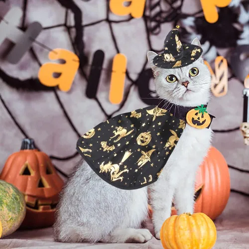 Miniatura 3 de Estivaux Disfraces de Halloween para mascotas, perros, gatos, disfraz de bruja de Halloween, sombrero de capa de vampiro, mago, gatos, ropa