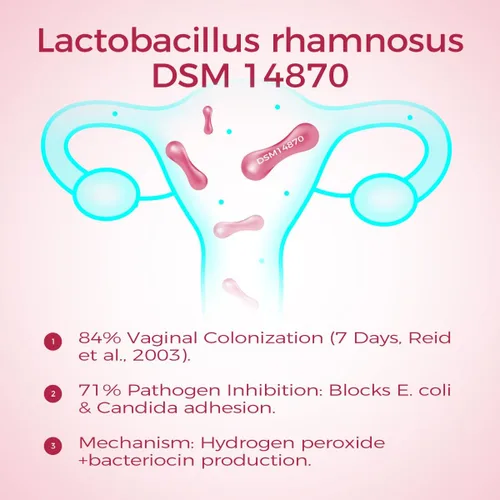 Miniatura 5 de Cápsulas de probióticos para mujeres con arándano y prebióticos - 40 mil millones de UFC, 11 cepas para la salud vaginal Bienestar íntimo femenino*