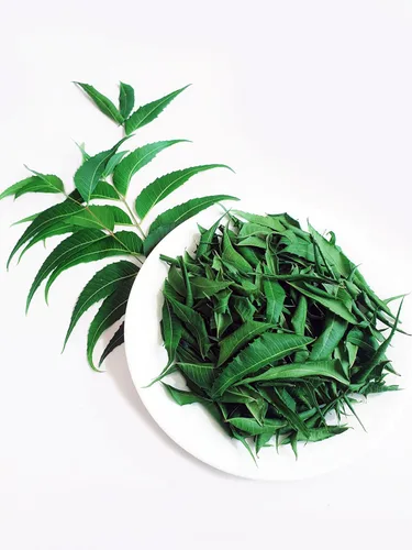 Miniatura 2 de Hojas de neem enteras cultivadas de forma natural, hojas de primera calidad, puras y secas frescas, 3 onzas / 3.00 oz de té de neem