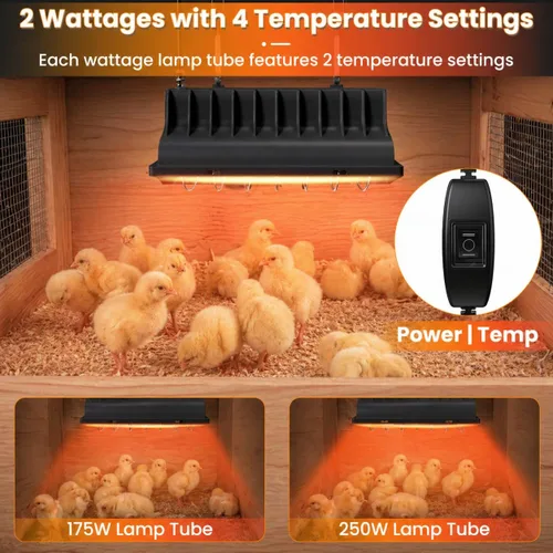 Miniatura 5 de Lámpara de calor para pollos, calentador de gallinero para pollitos con 2 bombillas de calefacción (250 W y 175 W), temperatura ajustable y alturas