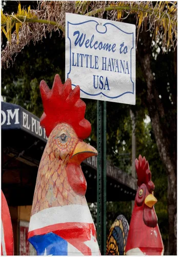 Miniatura 8 de 3dRose Toalla de baño de mano para piscina de 22 x 30 - Estados Unidos, Florida, Miami, Little Havana, Esculturas de gallo y letrero. Signos