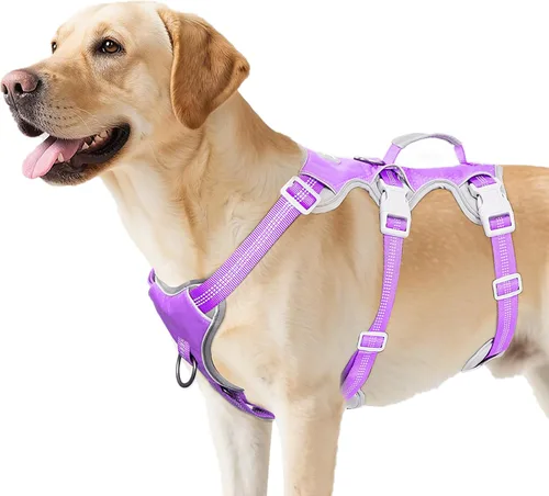Miniatura 15 de Huntboo Arnés para perro a prueba de escape, arnés reflectante con mango acolchado, transpirable, duradero, chaleco ajustable para perros medianos