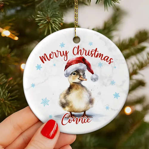 Miniatura 5 de Hyturtle Adorno de Navidad personalizado para amantes de los patos, adorno de cerámica con nombre personalizado de pato – Lindo regalo para amantes