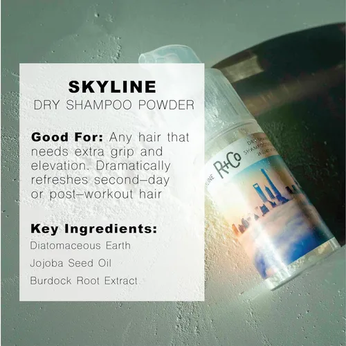 Miniatura 6 de R+Co Skyline Dry Champú en polvo Refresca dramáticamente, acondiciona sin peso + textura Vegano + libre de crueldad 1.0 onzas