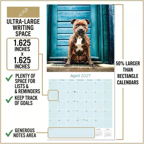 Miniatura 3 de Calendario 2025 2026 de Pitbull - Calendario de pared mensual de la raza de perro Staffordshire Bull Terrier - 12" x 24" abierto - Papel grueso sin