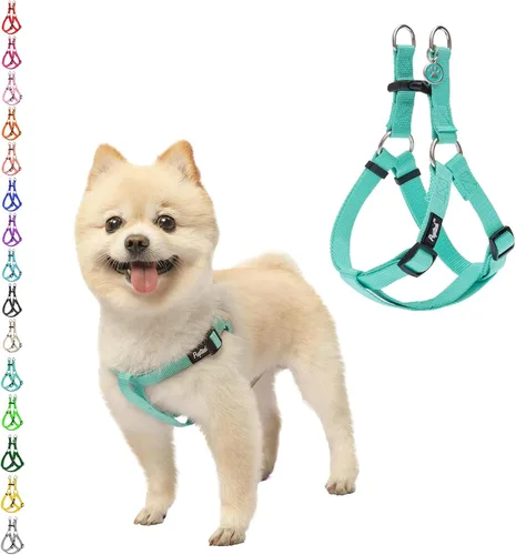 Miniatura 36 de PUPTECK arnés para perro para no jalar, reflejante, ajustable, básico, de nailon, chaleco para cachorro, para caminar al aire libre con etiqueta