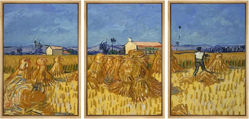 Miniatura 179 de Lienzo decorativo para pared - cuadro con estampado Giclée para decoración del hogar Noche estrellada sobre el Ródano