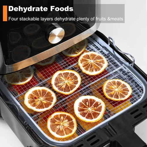 Miniatura 3 de SICHEER Estante deshidratador de acero inoxidable, accesorios compatibles con freidora de aire Instant Vortex Plus de 6 cuartos de galón, parrilla