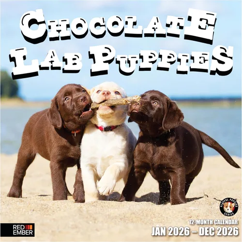 Miniatura 24 de RED EMBER Golden Retriever Puppies - Calendario de pared 2026 de 12 meses 12 x 24 pulgadas abierto Papel grueso y resistente Regalo
