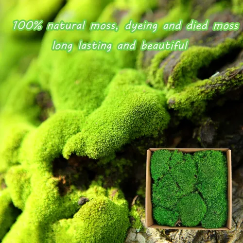 Miniatura 4 de Musgo decorativo de musgo preservado de 1.5 pies cuadrados para manualidades, arte, decoración de pared, verde oscuro