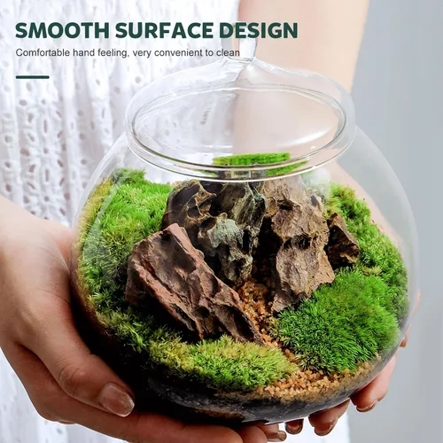 Miniatura 2 de Angoily Terrario de vidrio, tarros grandes transparentes con tapa, florero de terrario para plantas