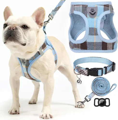 Miniatura 8 de EXPAWLORER Arnés Clásico a Cuadros para Cachorros - Conjunto de Arnés y Correa para Perro Pequeño - Conjunto de Collar y Correa para Perro