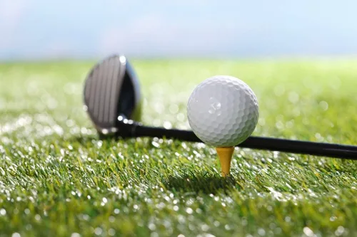 Miniatura 5 de Crestgolf Camisetas profesionales de golf de madera de lujo de 2 1/8 pulgadas, 100 piezas