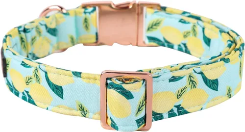 Miniatura 2 de MR.CHUBBYFACE· Collar de perro de primavera y verano, lindos collares de perro de limón verde, collar ajustable de tela natural suave para perros