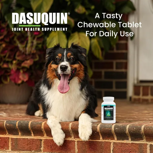 Miniatura 4 de Nutramax Dasuquin para perros pequeños a medianos, suplemento de salud articular, contiene glucosamina para perros, además de condroitina, ASU