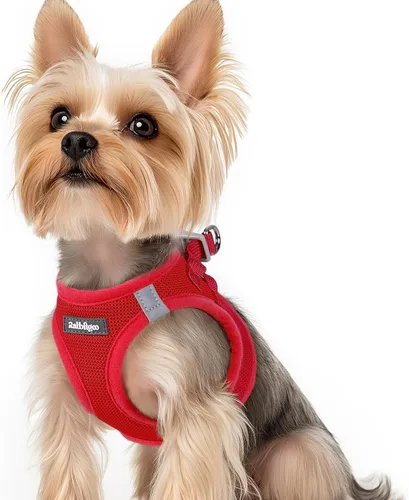 Miniatura 79 de rabbitgoo Arnés para perro pequeño, chaleco de malla suave para cachorros con hebilla de seguridad, arnés reflectante transpirable para mascotas