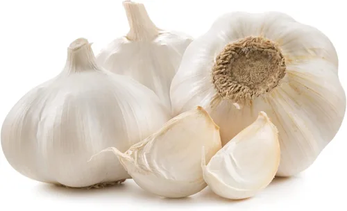 Easy to Grow Bulbos de ajo "White California" (paquete de 3) – Bombillas de ajo sin OMG para jardines de hierbas y verduras