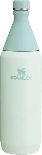 Miniatura 23 de Stanley All Day - Botella delgada de 20 onzas, tapa giratoria con sello a prueba de fugas, diseño delgado para viajes y gimnasio, acero inoxidable