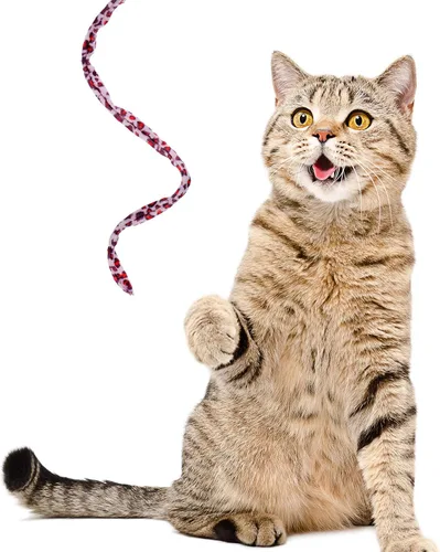 Miniatura 4 de Sumind 3 piezas de varita de gato de la selva para gato, teaser encantador, juguetes interactivos divertidos varita gatito juguete, 3 estilos