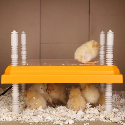 Miniatura 7 de Calentador de criador para pollitos Altura ajustable: Placa de calefacción con placa de fácil limpieza Calentador de gallinero de aves de corral 10