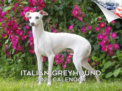 Miniatura 119 de Calendario 2025 2026 de cachorros Cocker Spaniel - Calendario mensual de pared de raza de perro - 12" x 24" abierto - Papel grueso sin sangrado