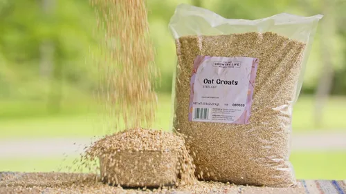 Miniatura 3 de Grain Millers - Granos de avena – Bolsa de 50 libras Corte de acero, a granel, deliciosa avena o gachas de desayuno Alto en fibra dietética