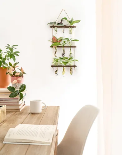 Miniatura 3 de Mkono Tubos de propagación de plantas, terrario colgante de pared de 3 niveles con soporte de madera, florero de flores, tubo de ensayo, estaciones