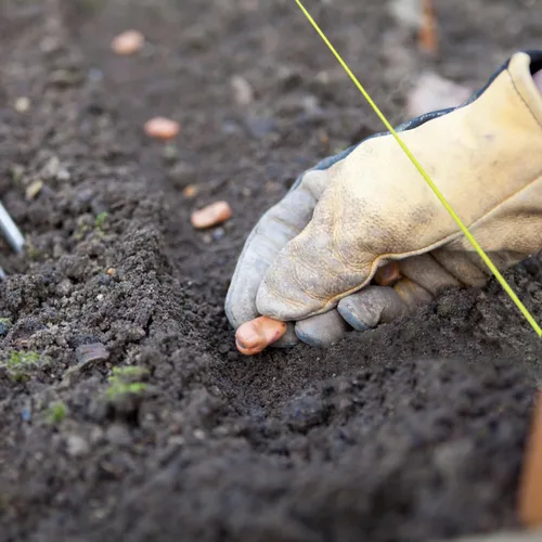 Miniatura 7 de HASWARE Mason Line - Cuerda de nailon trenzado para herramientas de jardinería o mampostería, nivel de línea de cuerda de construcción para jardín