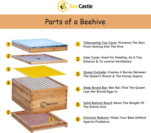 Miniatura 2 de BeeCastle Kit de iniciación de 10 marcos para colmenas y suministros de abeja, kit de colmena sumergido en cera de abejas 100%, suministros