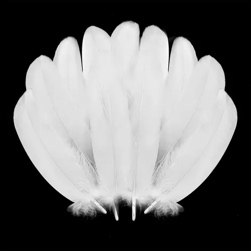 Miniatura 16 de 300 plumas de ganso negras naturales a granel, plumas naturales a granel de 5 a 7 pulgadas para manualidades, atrapasueños, alas de ángel