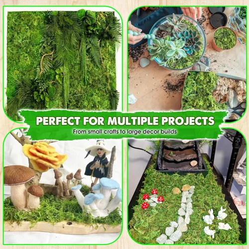 Miniatura 4 de DUSPRO Musgo Verde Mejorado para Manualidades, Musgo Real de Bosque en Plantas en Maceta, Musgos Decorativos para Centros de Mesa de Boda, Navidad