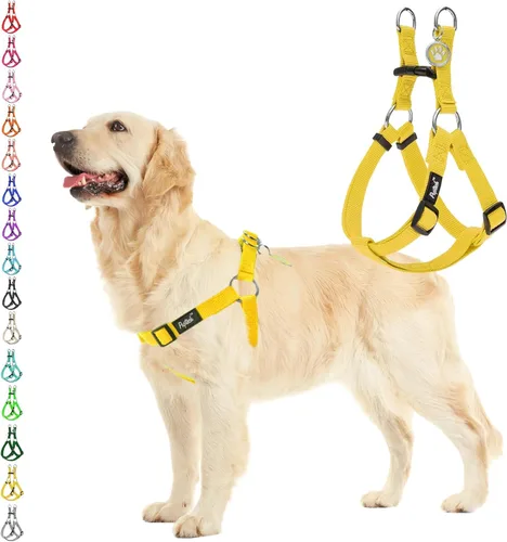 Miniatura 39 de PUPTECK arnés para perro para no jalar, reflejante, ajustable, básico, de nailon, chaleco para cachorro, para caminar al aire libre con etiqueta