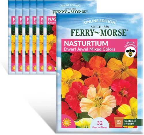 Miniatura 22 de Ferry-Morse Online Edition Tomato Supersweet 100 semillas híbridas – Alta tasa de germinación, sin OGM – Paquete de 8 Tomato Supersweet 100 Hybrid
