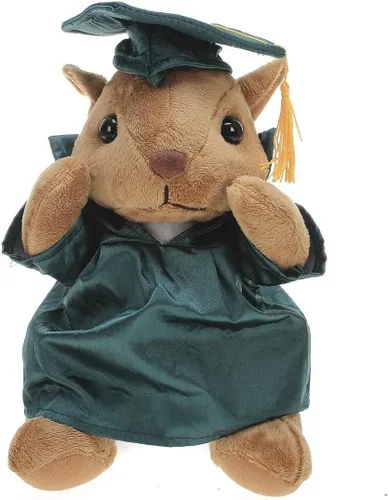 Miniatura 7 de Plushland Juguetes de peluche de ardilla, regalos para el día de graduación, texto personalizado, nombre o logotipo de tu escuela en el vestido, lo