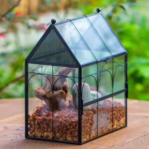 Miniatura 8 de NCYP Recinto de vidrio con orificios de ventilación para insectos, arañas saltadoras, 7.5 x 4.9 x 9 pulgadas, pequeña puerta cerrada de apertura