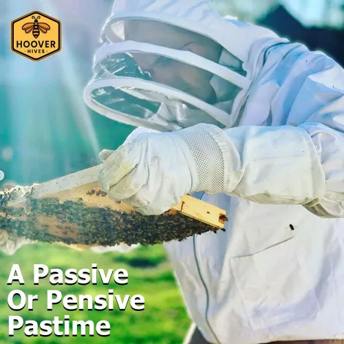 Miniatura 3 de Hoover Hives 8 marcos de colmena Langstroth sumergido en cera de abeja 100% incluye marcos de madera y bases enceradas