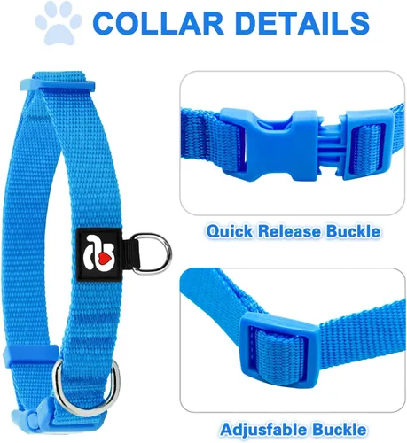 Miniatura 2 de azuza Paquete de 3 collares de perro cómodos y ajustables de nailon para perros pequeños, S (11-16 pulgadas), verde, azul y azul rey 2-4#3 Pack