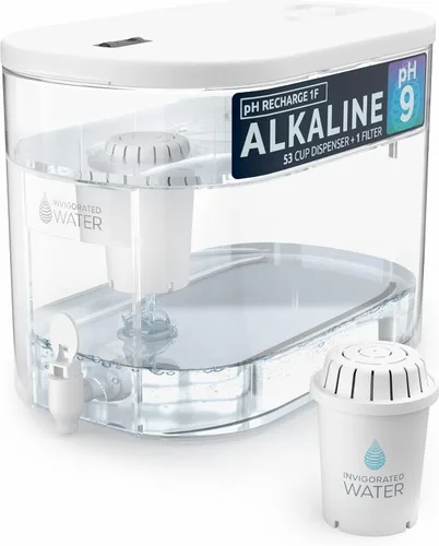 Unidad de Purificación de Agua Alcalina Invigorated Water, Blanca, Plástica, Incluye Filtro pH001, Diseño Antideslizante Conveniente Blanco-1 Filter