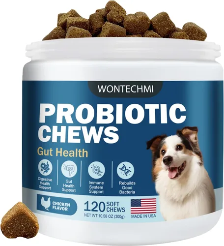 Probióticos para perros, mejoran la picazón en la piel y picazón en los oídos, la salud intestinal, el equilibrio de levaduras, las alergias, la