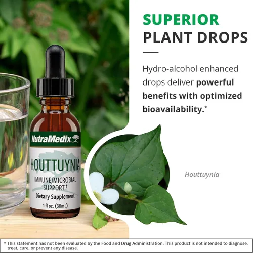 Miniatura 5 de NutraMedix Houttuynia - Tintura de apoyo gastrointestinal, inmunológico y microbiano - Ayuda con la digestión, la salud gastrointestinal