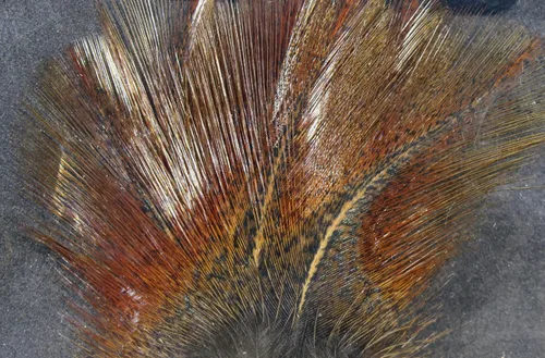 Miniatura 9 de Hareline Fly Tying Coq De Leon Feathers for Dry Fly Tails, Nymphs, and Euro Patterns
