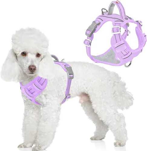 Miniatura 26 de BARKBAY Arnés para perro sin tirones con bolsillo para etiqueta de identificación, resistente, reflectante, fácil control para perros grandes